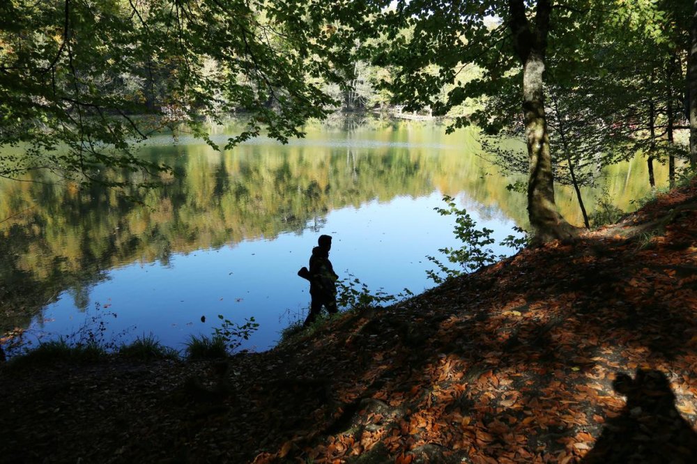 YEDIGOLLER TABIAT PARKI VE SONBAHAR